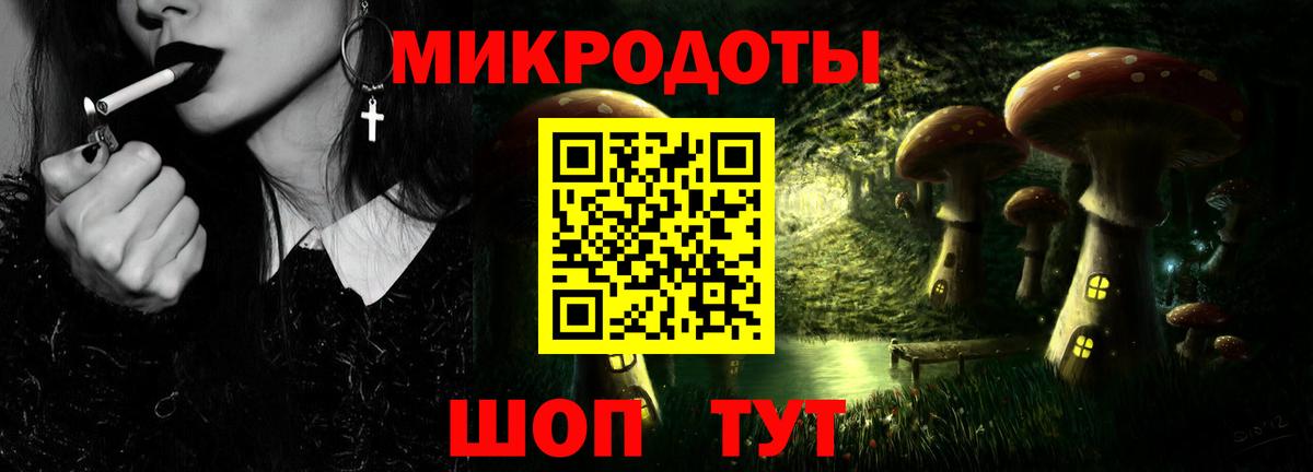 Галлюциногенные грибы Psilocybe Воронеж